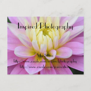 Inspired Photography Postcard