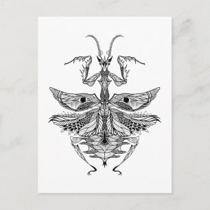 Inspired Praying Mantis Postcard