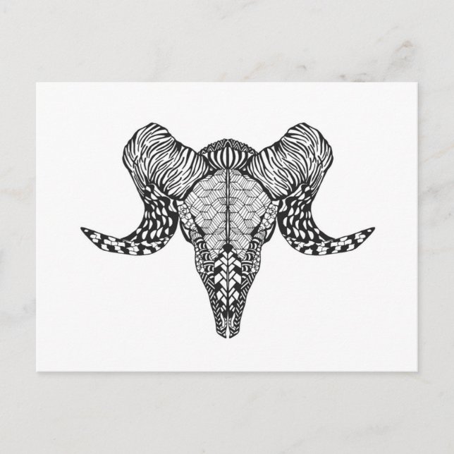 Inspired Sheep Skull Postcard (Front)
