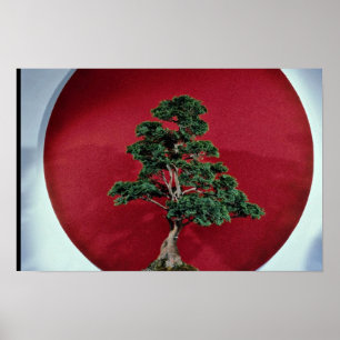 Inspiring Bonsai tree Poster