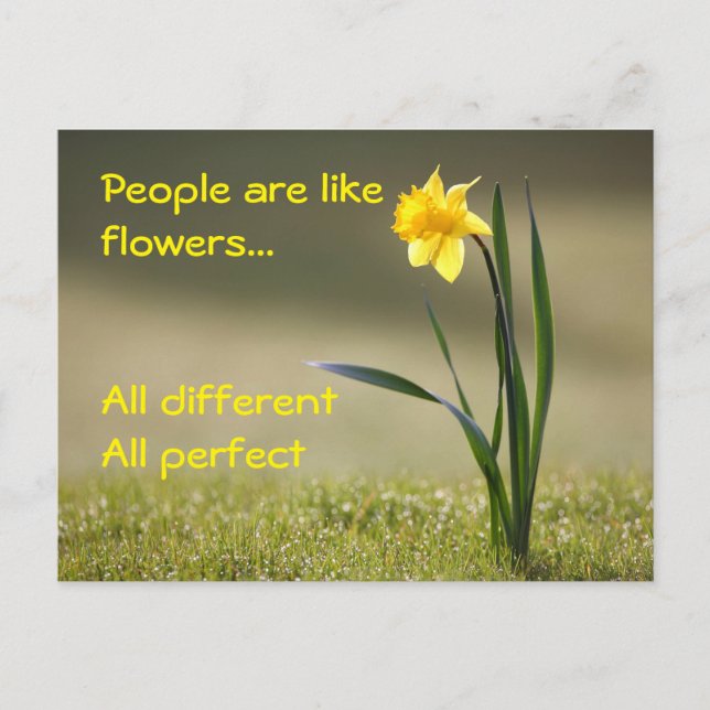 Inspiring postcard. Flowers Postcard (Front)