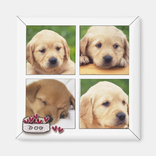 instagram dog photo magnets
