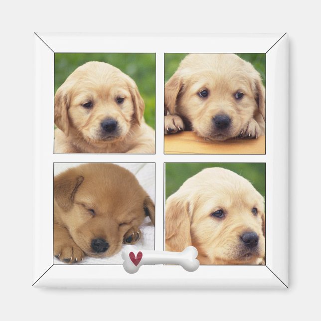 instagram photo dog magnets (Front)