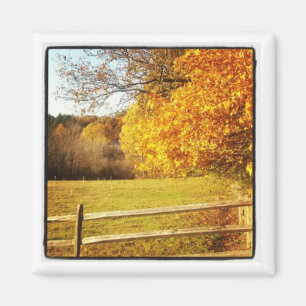 instagram photo magnet