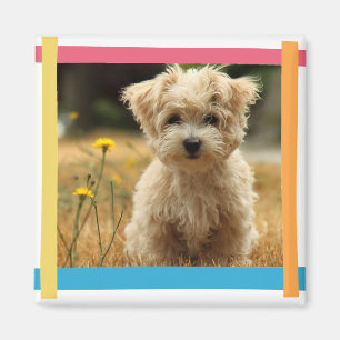 instagram photo magnet