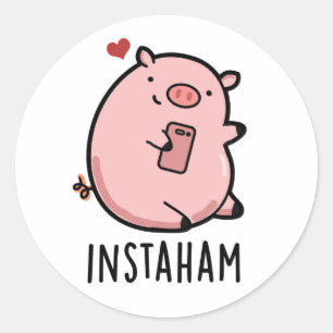 Instaham Funny Social Media Pig Pun  Classic Round Sticker