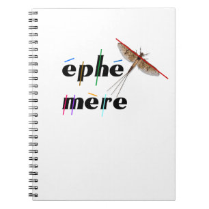 instant ephemeral notebook