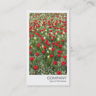 Instant Photo - Bed of Tulips Business Card