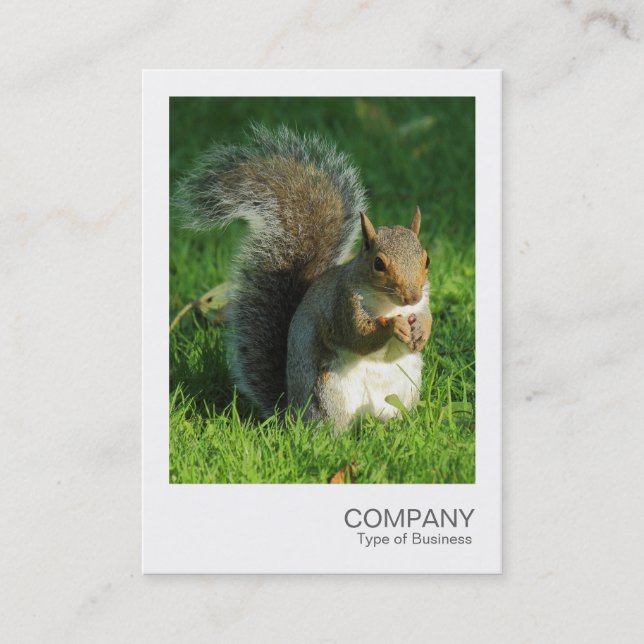 Instant Photo - Grey Squirrel Eating Nuts Business Card (Front)