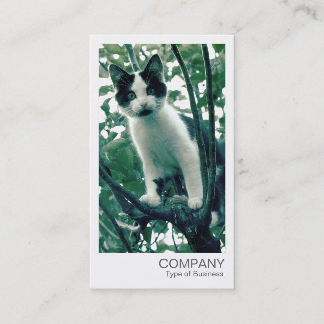 Instant Photo - Kitten in an Apple Tree Business Card (Front)