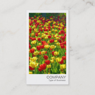 Instant Photo - Red and Yellow Tulips Business Card