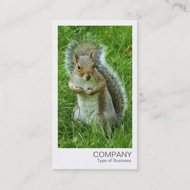 Instant Photo - Startled Grey Squirrel Business Card (Front)
