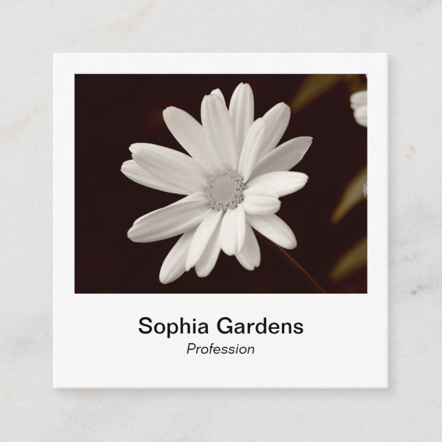 Instant Photo Style - Daisy Square Business Card (Front)