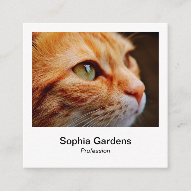 Instant Photo Style - Ginger Cat Square Business Card (Front)