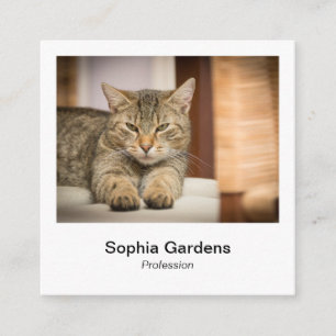 Instant Photo Style - Tabby Cat Square Business Card