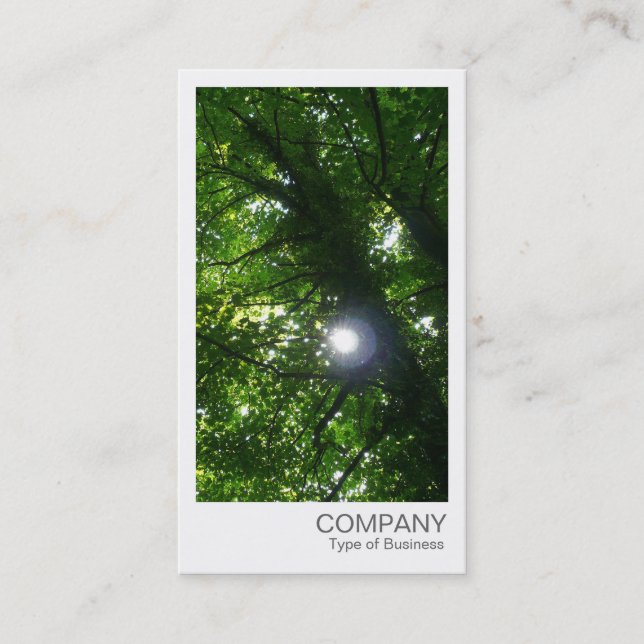 Instant Photo - Sun Through the Trees Business Card (Front)