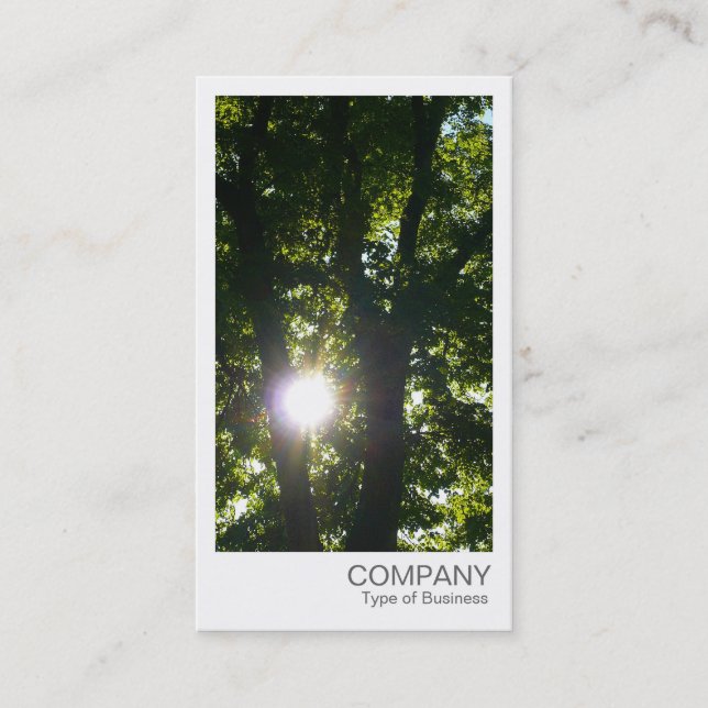 Instant Photo - Sun Through the Trees Business Card (Front)