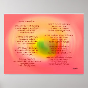 INSTRUCTIONS FOR LIFE POSTER