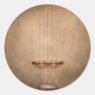 Instrument - String - I love banjo's Classic Round Sticker