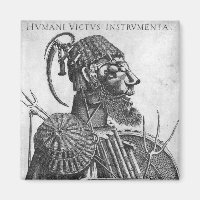 Instruments of Human Sustenance, Arcimboldo