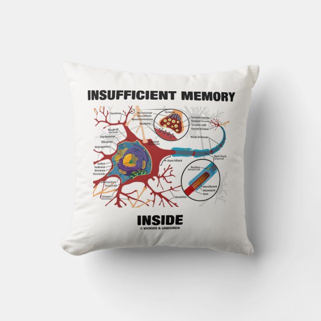 Insufficient Memory Inside (Neuron / Synapse) Cushion (Front)