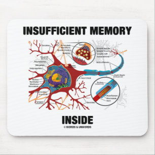 Insufficient Memory Inside (Neuron / Synapse) Mouse Mat