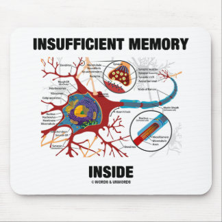 Insufficient Memory Inside (Neuron / Synapse) Mouse Mat