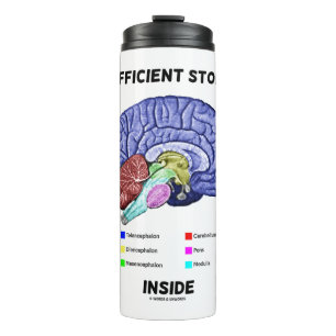 Insufficient Storage Inside Brain Anatomy Humor Thermal Tumbler