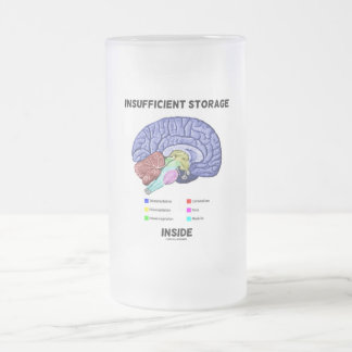 Insufficient Storage Inside (Brain Anatomy Humour) Frosted Glass Beer Mug