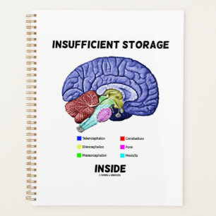 Insufficient Storage Inside Brain Anatomy Humour Planner