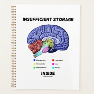 Insufficient Storage Inside Brain Anatomy Humour Planner