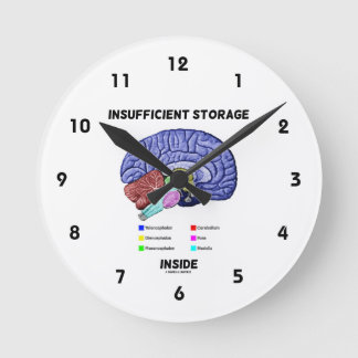 Insufficient Storage Inside (Brain Anatomy Humour) Round Clock