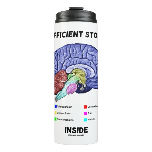 Insufficient Storage Inside Brain Anatomy Humour Thermal Tumbler (Front)