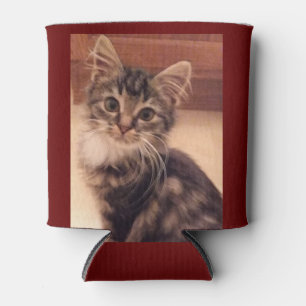 Insulated Can Cooler Cats Kittens Kitties