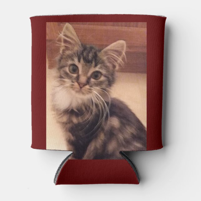 Insulated Can Cooler Cats Kittens Kitties (Front)