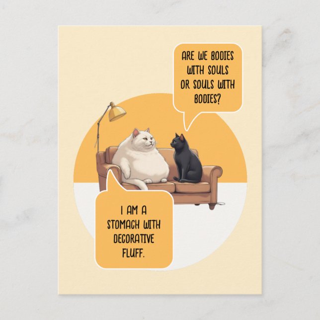 Intellectual Humour Cat Philosophy Funny Quote Postcard (Front)