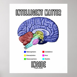 Intelligent Matter Inside (Anatomical Brain Humour Poster
