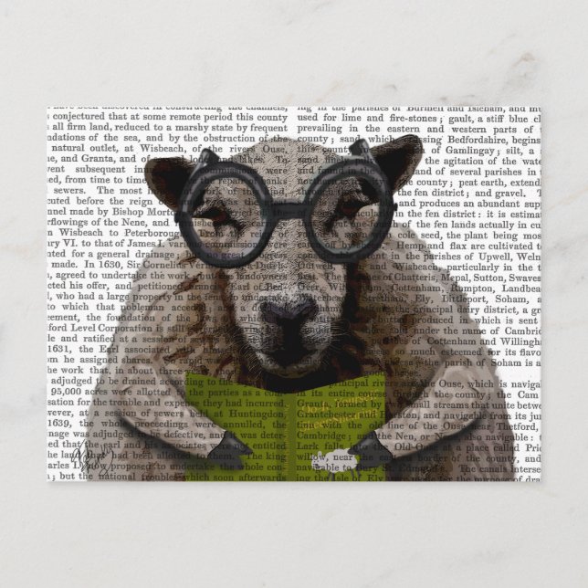 Intelligent Sheep Postcard (Front)