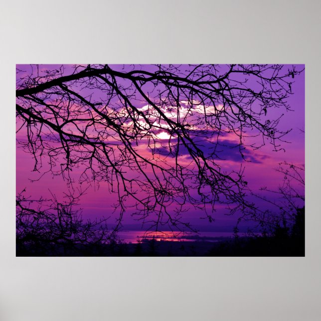 Intense and Vivid -  Purple Sunset Landscape Poster (Front)