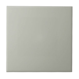 Intense Austere Gray Square Kitchen and Bathroom Tile