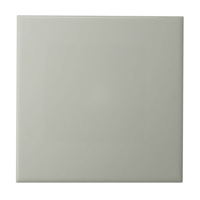 Intense Austere Gray Square Kitchen and Bathroom Tile (Front)