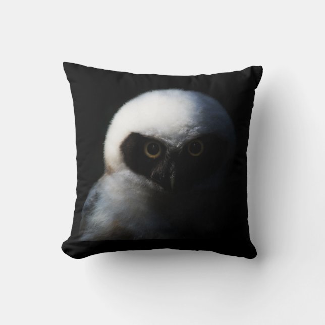 Intense Baby Owl Cushion (Front)