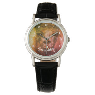 Intense Black Llama Face Close Up Abstract    Watch