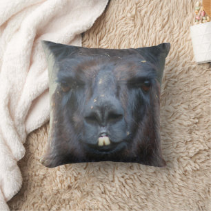 Intense Black Llama Face Close Up  Cushion