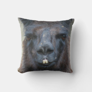 Intense Black Llama Face Close Up  Cushion