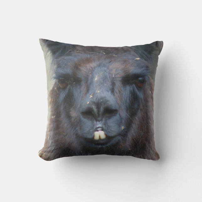Intense Black Llama Face Close Up  Cushion (Front)