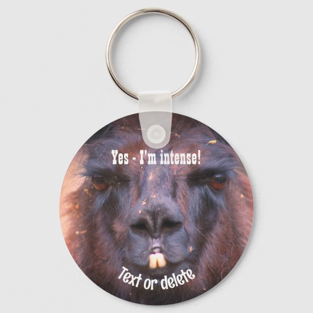Intense Black Llama Funny Animal Personalised Key Ring (Front)
