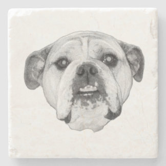 Intense bulldog stare in bold monochrome stone coaster