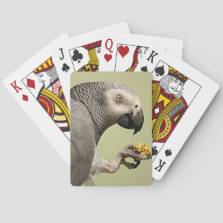 Intense Congo African Grey Parrot Snacking Playing Cards
