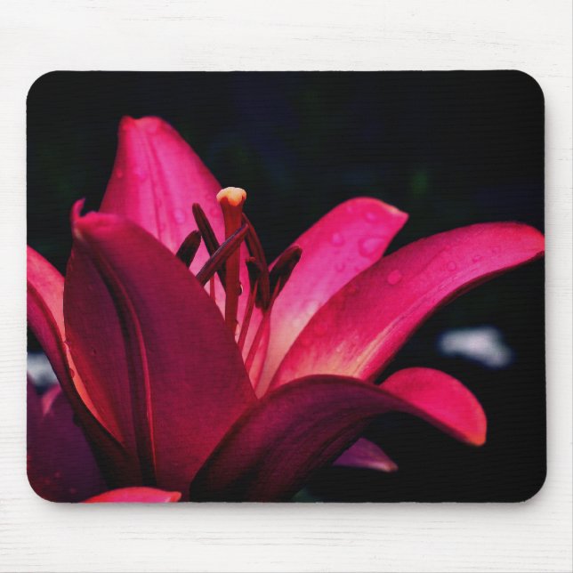 Intense Daylily Flower  Mouse Mat (Front)